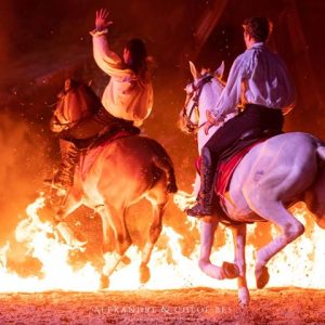 38629988_230052867653713_3075767715802120192_n