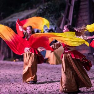 crins-de-feu-008-min