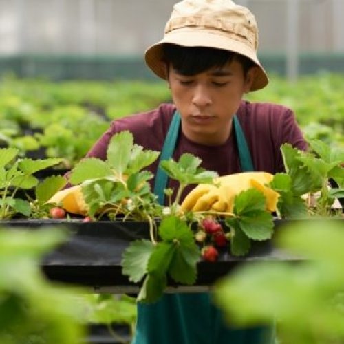 demo-attachment-18-19402