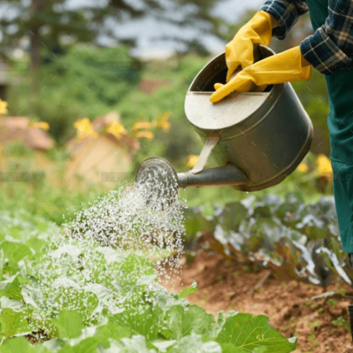 demo-attachment-20-19458-1