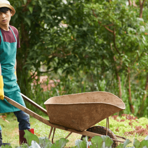 demo-attachment-755-19483